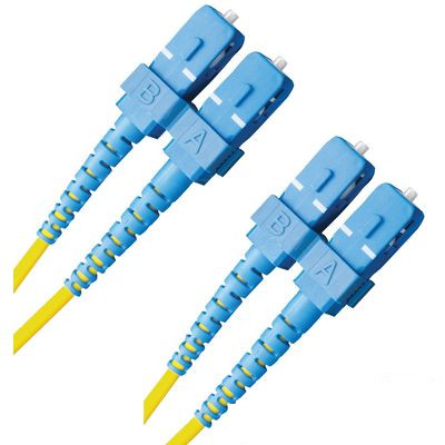 SCSCOS2DYE10 DIGITX SCSCOS2DYE10 DIGITX